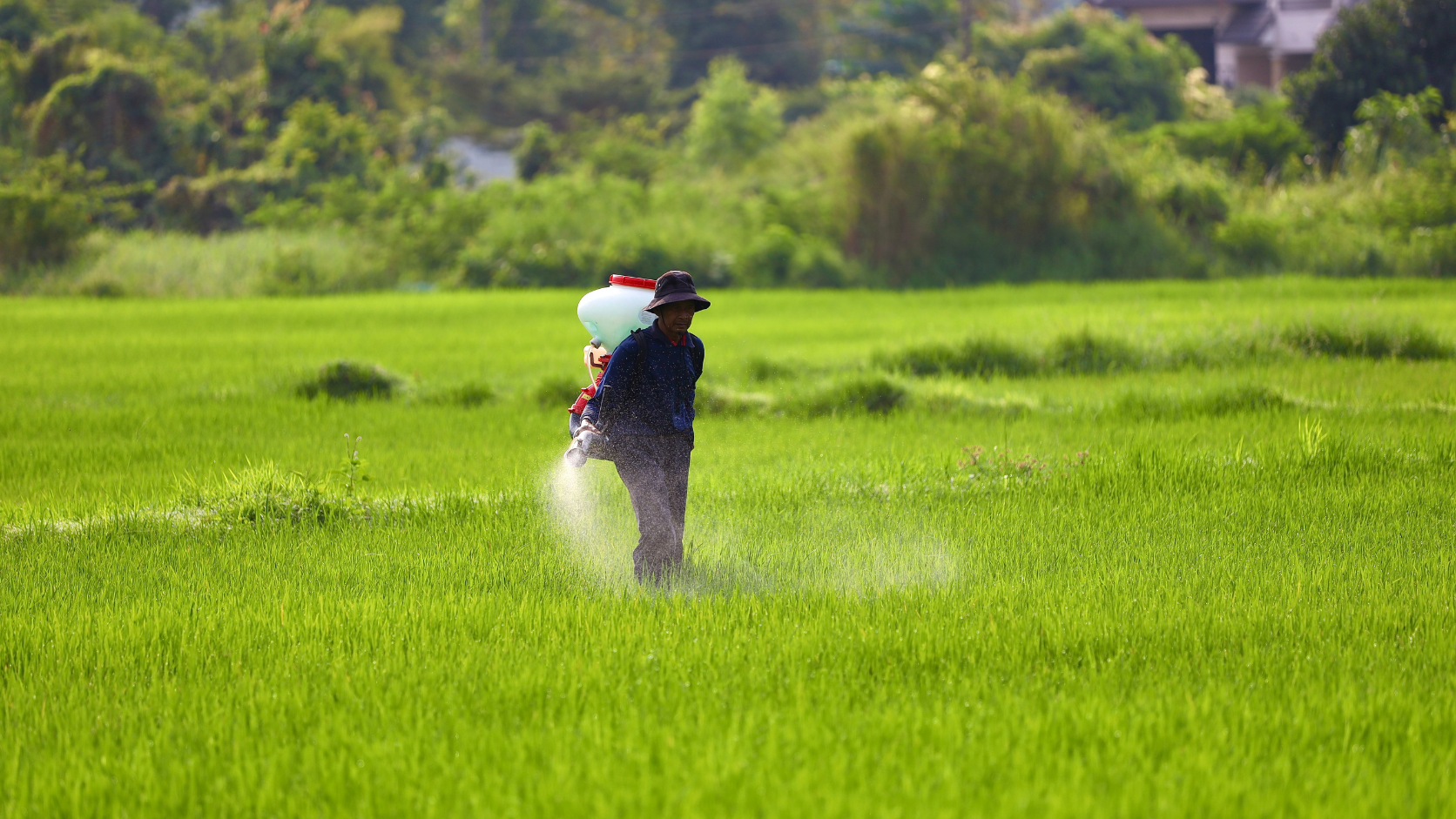 Wofür wird Monoethanolamin in Agrochemikalien verwendet?